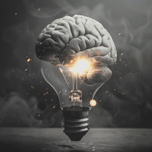 the bright of brain